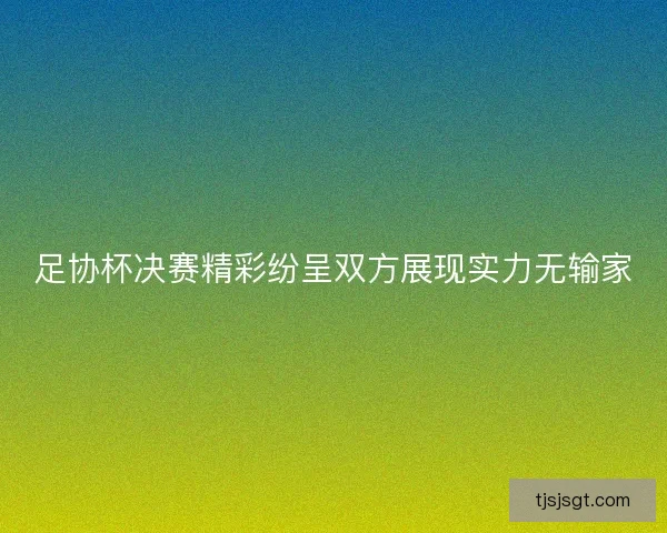 足协杯决赛精彩纷呈双方展现实力无输家