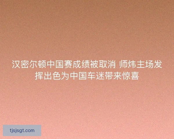 汉密尔顿中国赛成绩被取消 师炜主场发挥出色为中国车迷带来惊喜 汉密尔顿中国赛成绩被取消 师炜主场发挥出色为中国车迷带来惊喜