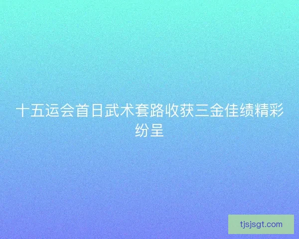 十五运会首日武术套路收获三金佳绩精彩纷呈 十五运会首日武术套路收获三金佳绩精彩纷呈