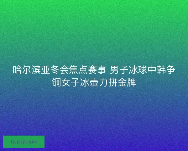 哈尔滨亚冬会焦点赛事 男子冰球中韩争铜女子冰壶力拼金牌 哈尔滨亚冬会焦点赛事 男子冰球中韩争铜女子冰壶力拼金牌